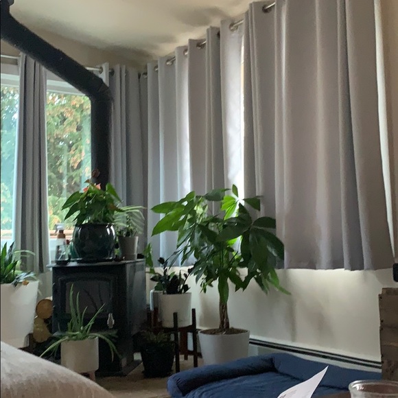 Meet your Posher, Karra - Picture 1 of 1